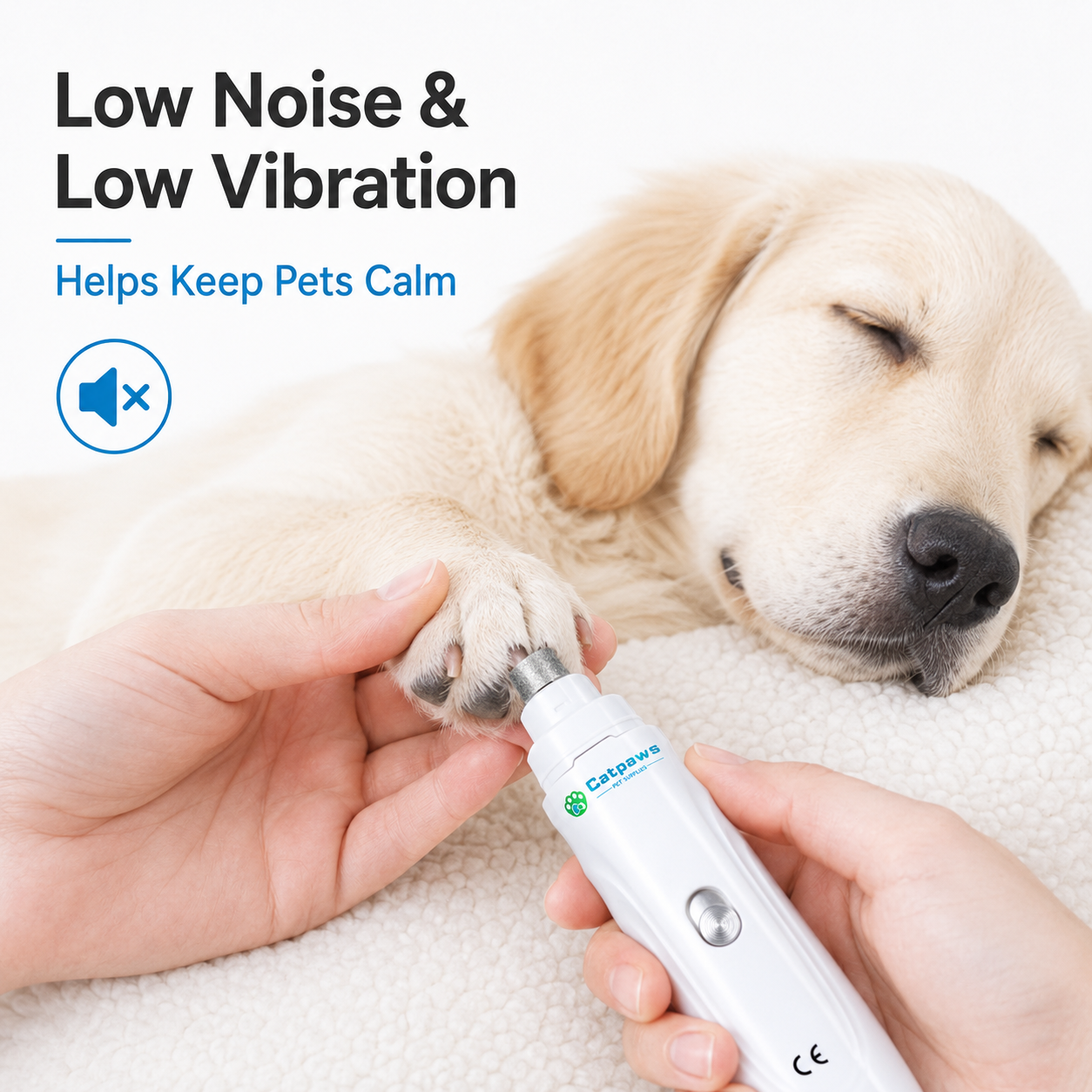 Pet Nail Grinder USB Rechargea - Power Tools Cat reseña y precio
