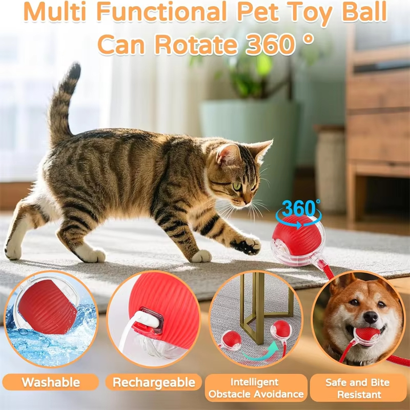New Cat Interactive Ball Toy A - Power Tools Cat reseña y precio