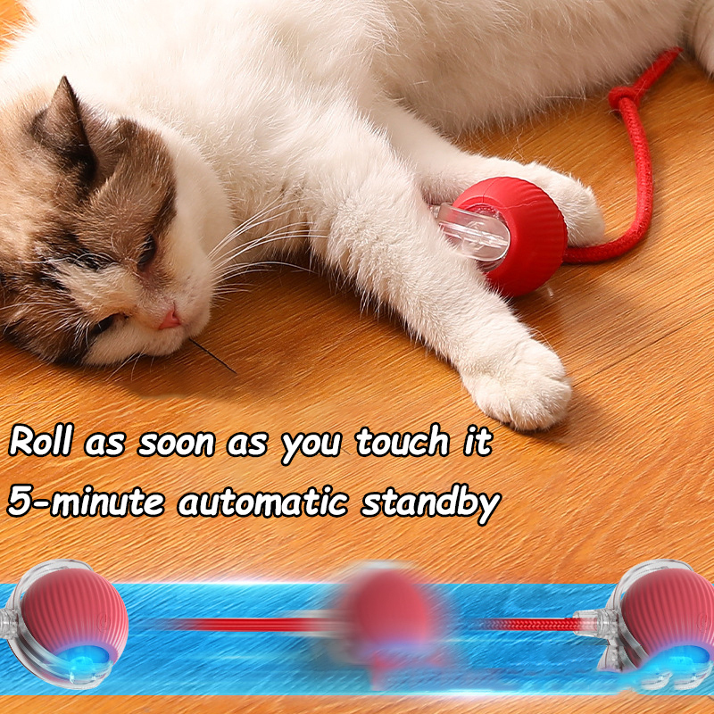New Cat Interactive Ball Toy A - Power Tools Cat reseña y precio