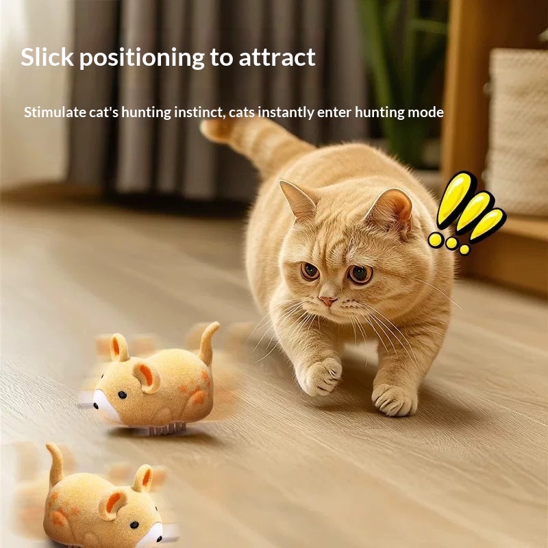 Cat toy electric hamster pet t - Power Tools Cat reseña y precio